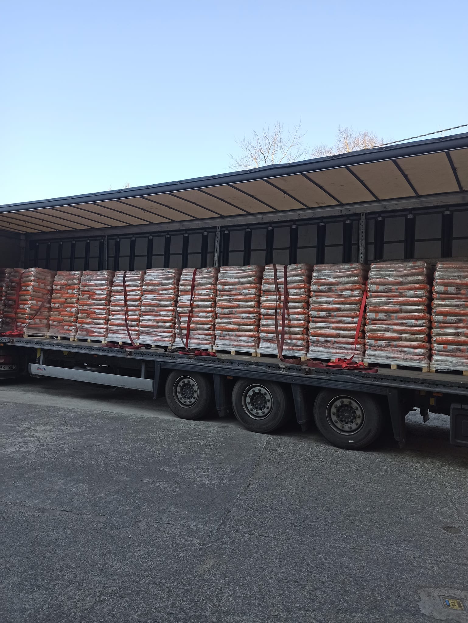 whitewood camion